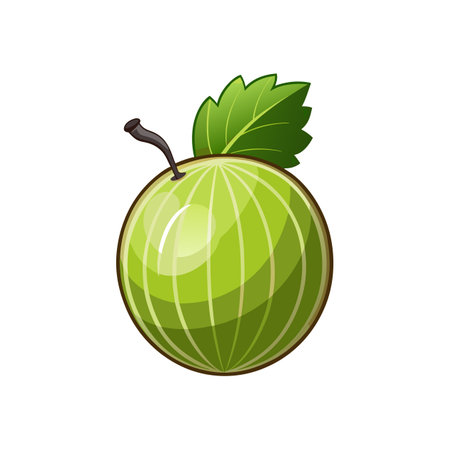 Colorful Design of Gooseberry for Various Usesのイラスト素材