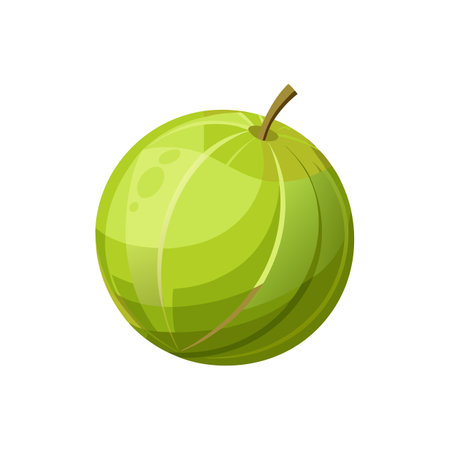 Vibrant Artwork of Indian Gooseberry for Creative Projectsのイラスト素材