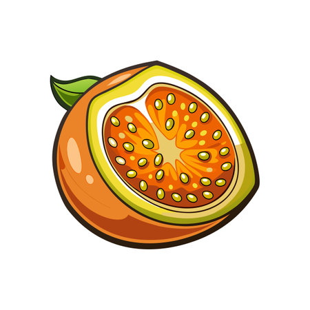 Realistic Cara Cara Fruit Illustrated with Colorのイラスト素材