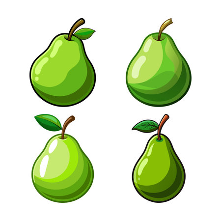 Realistic Green Anjou Pear Illustrated in Colorのイラスト素材