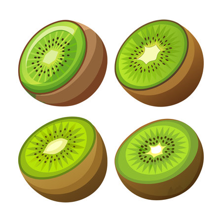 Realistic Hardy Kiwi Displayed with Colorful Charmのイラスト素材