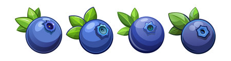 Charming Bilberry Fruit Composition in Bowlのイラスト素材