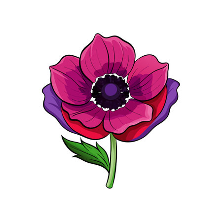 Vivid Anemone Flower Illustration for Floral Designsのイラスト素材