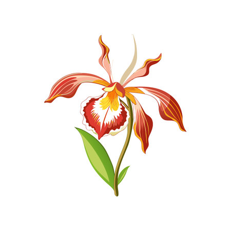Exquisite Fringed Orchid Flower Artistic Representationのイラスト素材