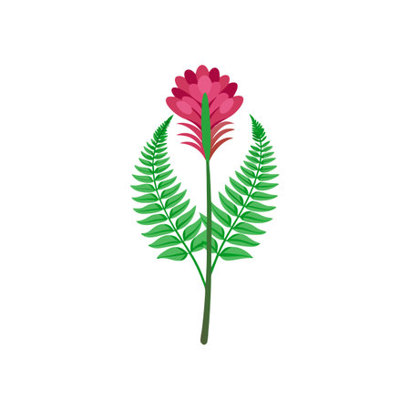 Elegant Ostrich Fern Flower Design for Unique Displaysのイラスト素材