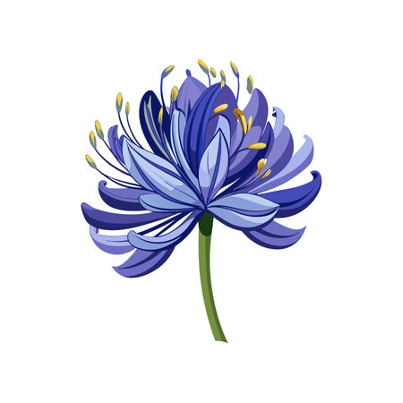 Stunning Agapanthus Flower Artwork in Lush Bloomのイラスト素材
