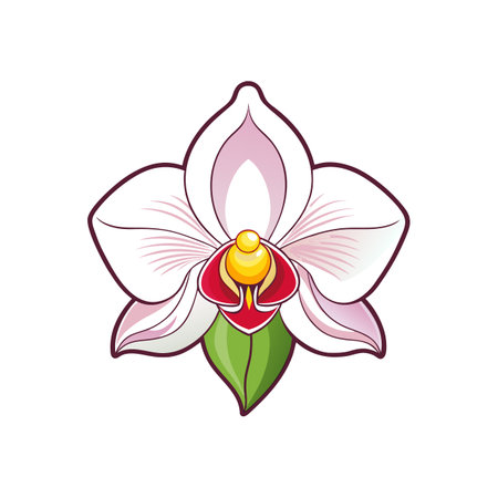 Exquisite Ghost Orchid Flower Detailed Artworkのイラスト素材