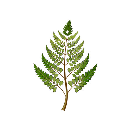 Stunning Hareのイラスト素材