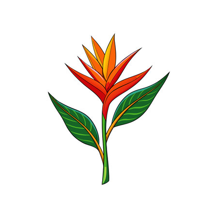 Vivid Heliconia Flower Realistic Designのイラスト素材