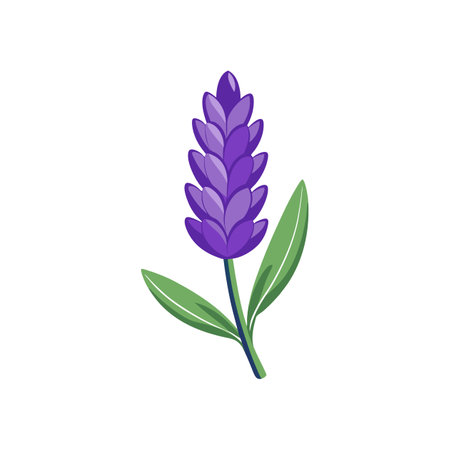 Vivid Lavender Flower Realistic Designのイラスト素材