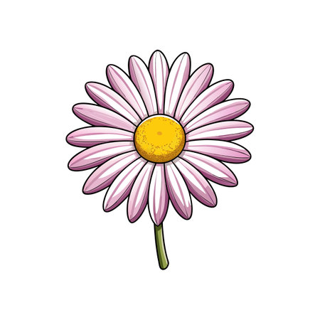 Vibrant Painted Daisy Flower Design for Artistic Displaysのイラスト素材