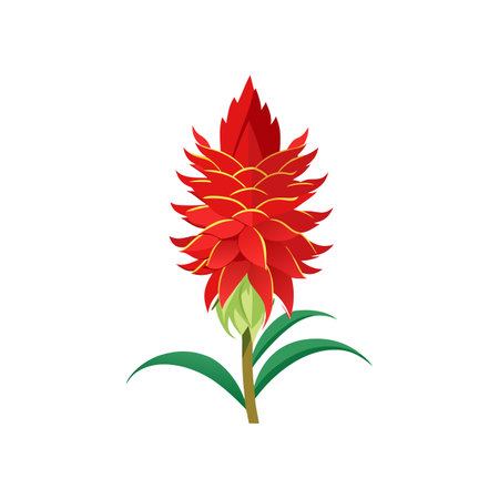 Charming Red Hot Poker Flower Artwork for Natureのイラスト素材