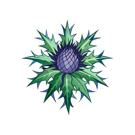 Gorgeous Sea Holly Flower Artwork for Nature Displaysのイラスト素材