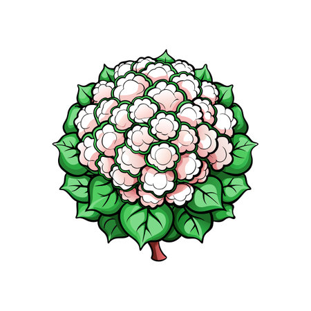 Stunning Snowball Bush Flower Lively Designのイラスト素材