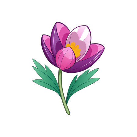 Vibrant Spring Adonis Flower Artwork for Gardensのイラスト素材