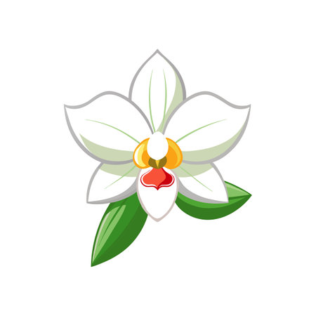 Lovely White Egret Orchid Illustrationのイラスト素材