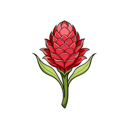 Stunning Torch Ginger Flower Artworkのイラスト素材