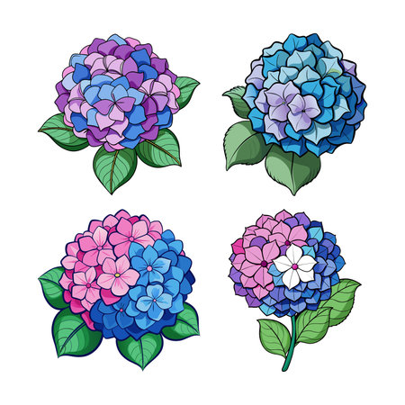 Vibrant Hydrangea Flower Bright Artworkのイラスト素材