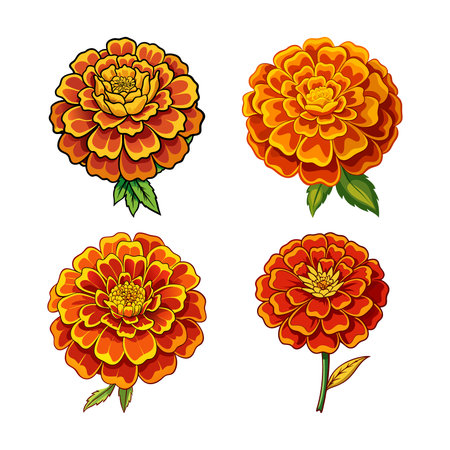 Vibrant Mexican Marigold Flower Bright Artworkのイラスト素材