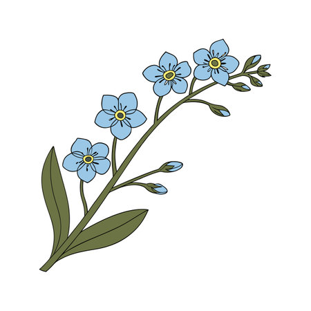 Charming Alpine Forget-Me-Not Floral Illustration for Homeのイラスト素材