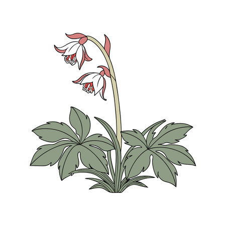 Exquisite Indian Pipe Flower Bright Designのイラスト素材