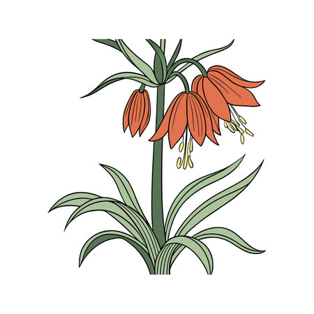 Vivid Crown Imperial Flower Art for Garden Themesのイラスト素材