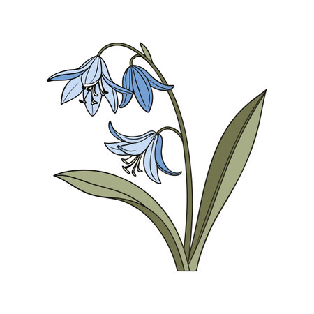 Vivid Northern Blue Flag Flower Realistic Designのイラスト素材