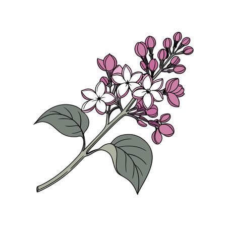 Gorgeous Persian Lilac Flower Design for Home Decorのイラスト素材