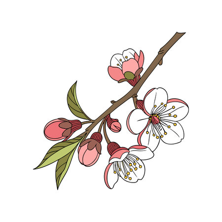 Charming Pomegranate Blossom Flower Colorful Representationのイラスト素材