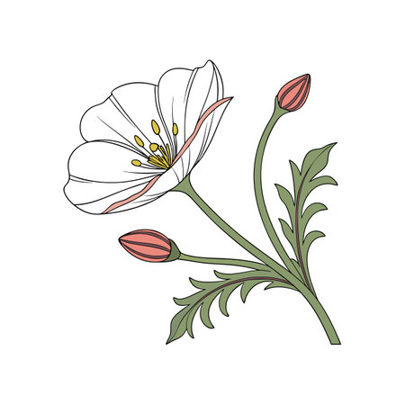 Vibrant Sea Poppy Flower Design for Coastal Artのイラスト素材