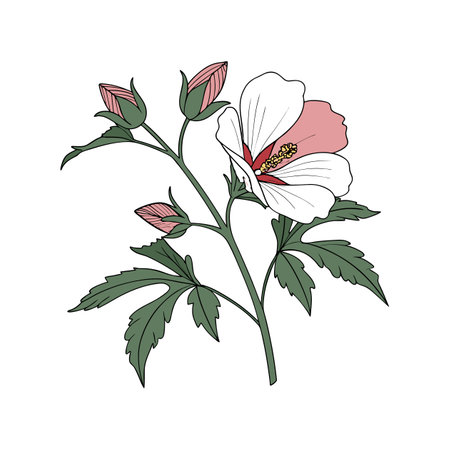 Vibrant Swamp Rosemallow Flower Artwork for Botanical Projectsのイラスト素材