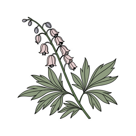 Beautiful Wolfsbane Flower with Bold Appearanceのイラスト素材