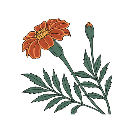 Vibrant Mexican Marigold Flower Bright Artworkのイラスト素材