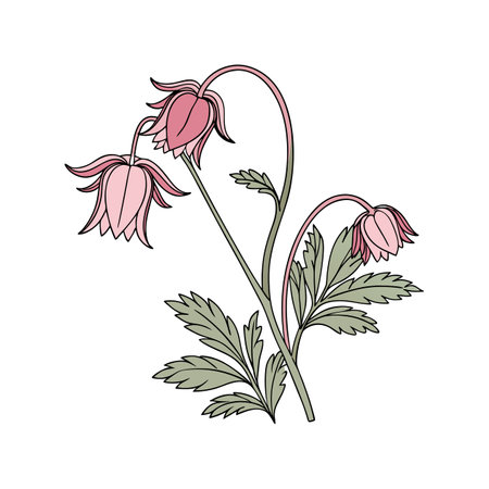 Stunning Prairie Smoke Flower Lively Designのイラスト素材