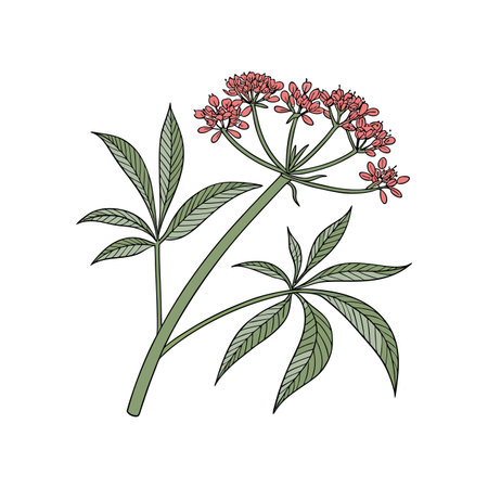 Stunning Umbrella Plant Flower in Artistic Styleのイラスト素材