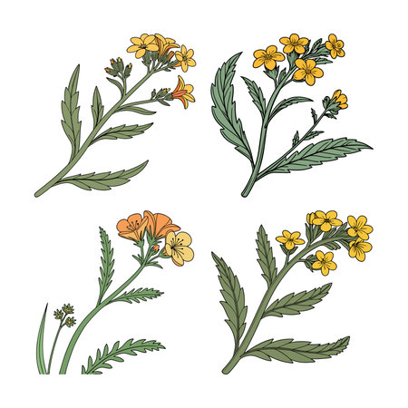 Vivid Fiddleneck Flower Art for Nature Loversのイラスト素材