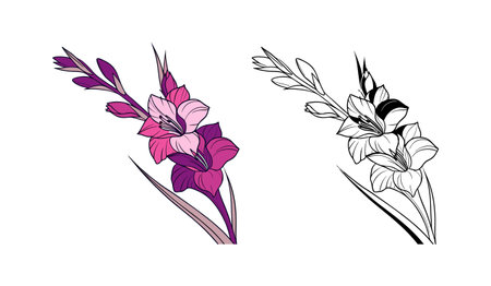 Stunning Gladiolus Flower Art for Floral Enthusiastsのイラスト素材