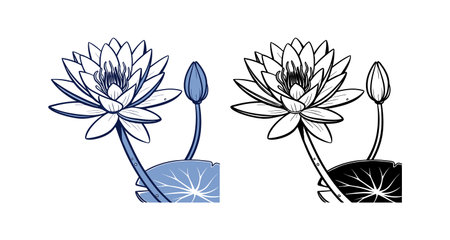 Elegant Blue Water Lily Flower Representationのイラスト素材