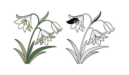 Charming Ghost Flower Colorful Artworkのイラスト素材