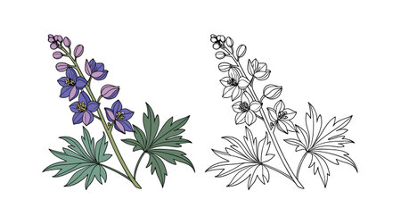Charming Larkspur Flower Colorful Artworkのイラスト素材