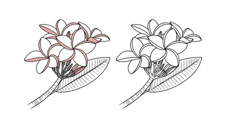 Beautiful Paper Flower Design for Unique Creationsのイラスト素材