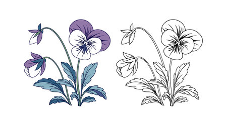 Charming Violet Flower Showcasing Natural Beautyのイラスト素材