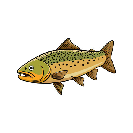 Dynamic Brown Trout Stunning Artwork Displayのイラスト素材