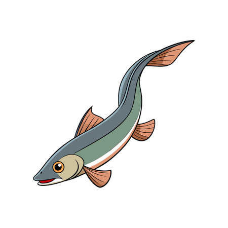 Detailed Rattail Fish Illustration Featuring Vibrant Colorsのイラスト素材