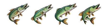 Colorful Weepback Pike Illustration with Realistic Featuresのイラスト素材