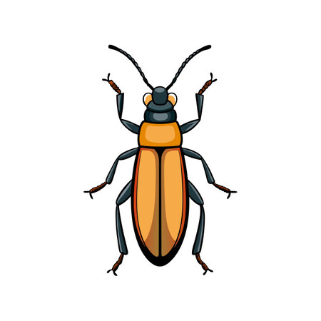 Stunning Representation of Realistic Blister Beetle in Natureのイラスト素材