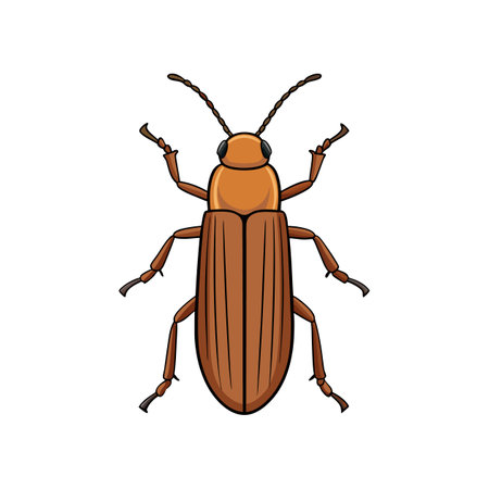 Intricate Bark Beetle Illustration Revealing Natural Colorsのイラスト素材