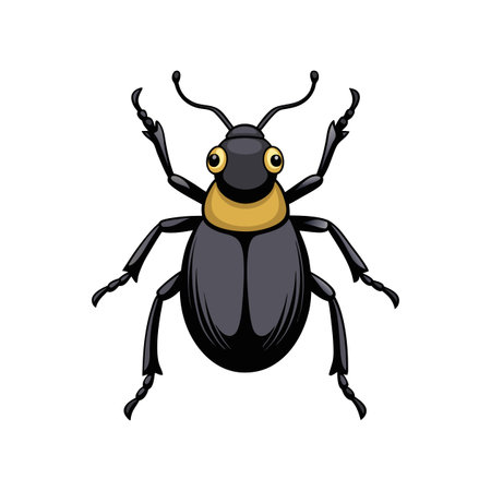 Realistic Black Vine Weevil Artwork Capturing Nature's Beautyのイラスト素材