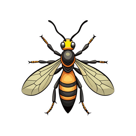 Unique Chalcid Wasp Realistic Illustrationのイラスト素材