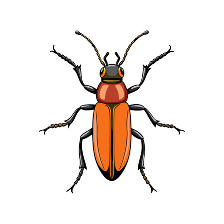 Charming Blister Beetle Illustration Showcasing Color and Detailのイラスト素材